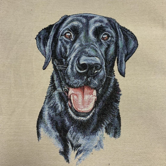 Labrador mintás pane