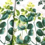 Kép 1/3 - Fehér alapon zöld levél mintás pamut karton kétoldalt eltérő bordűrrel